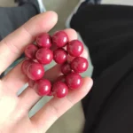 Natural Cinnabar Protection Bracelet
