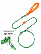 Anti-Burst-Pull Tangle-Free Dog Leash - Image 13