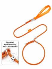 Anti-Burst-Pull Tangle-Free Dog Leash - Image 14