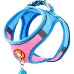 Vest-Style Pet Dog Harness & Leash Set
