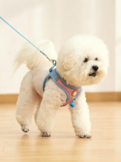 Vest-Style Pet Dog Harness & Leash Set - 图片 16