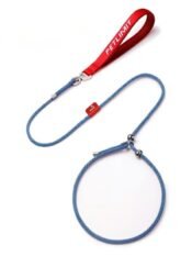 Anti-Burst-Pull Tangle-Free Dog Leash - Image 5