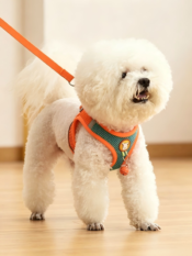 Vest-Style Pet Dog Harness & Leash Set - 图片 20