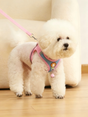 Vest-Style Pet Dog Harness & Leash Set - 图片 18