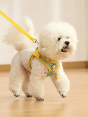 Vest-Style Pet Dog Harness & Leash Set - 图片 19