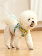Vest-Style Pet Dog Harness & Leash Set - 图片 17